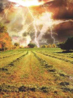 Other Wallpapers 0690